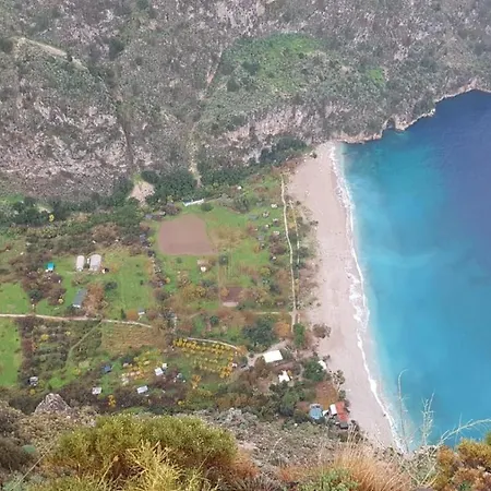 Dogan أولدينيس
